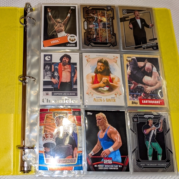 WWE Wrestling Legends Trading Cards Binder Collection  100 WWE Cards Lot